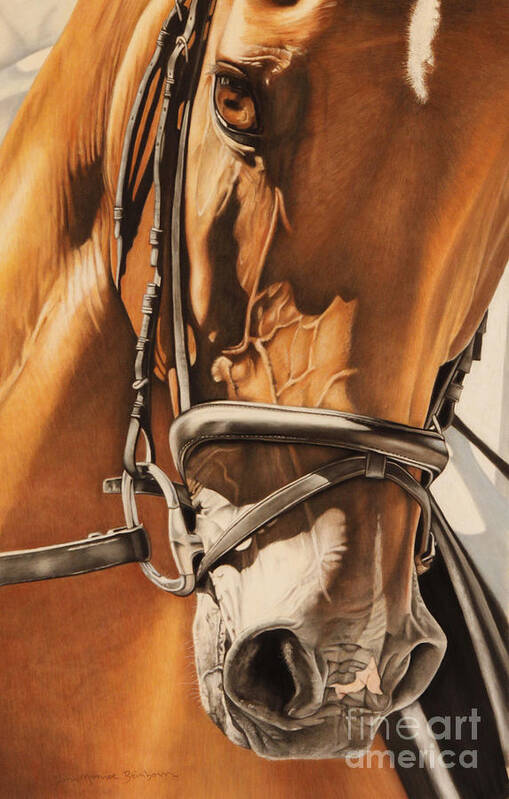 Horse Art Print featuring the pastel Dressage and Details by Joni Beinborn