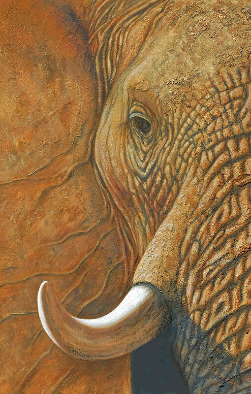 Elephant Print Art Print featuring the painting Elephant Matriarch portrait close up by David Clode