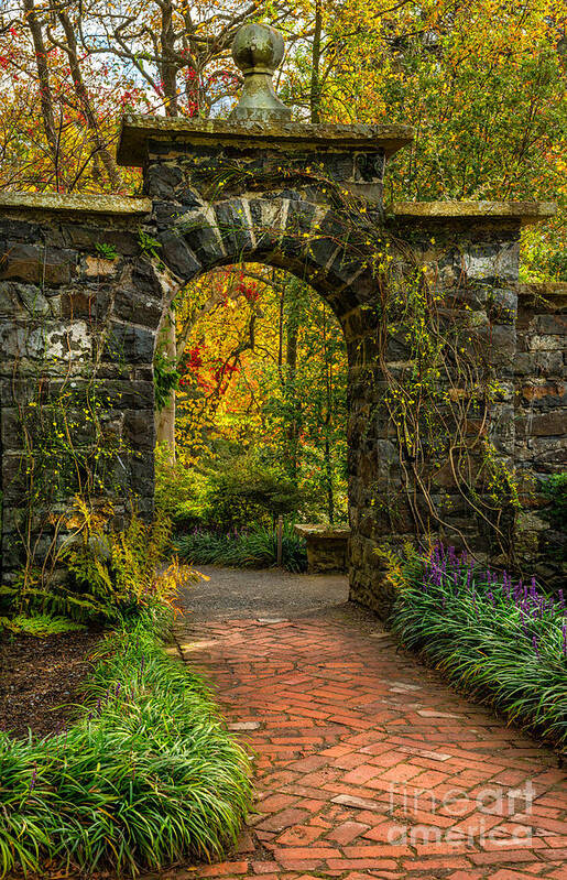 Acer Art Print featuring the photograph Garden Arch Fall by Adrian Evans