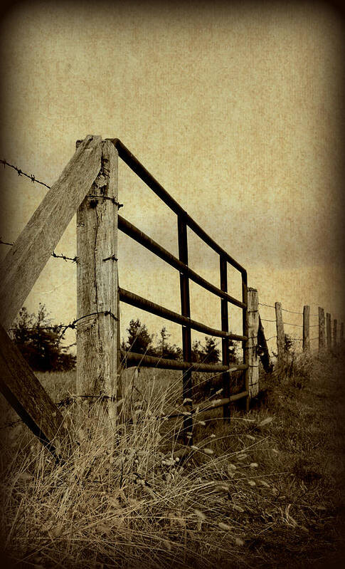 Gate Art Print featuring the photograph Gated Field by Kelly Nowak