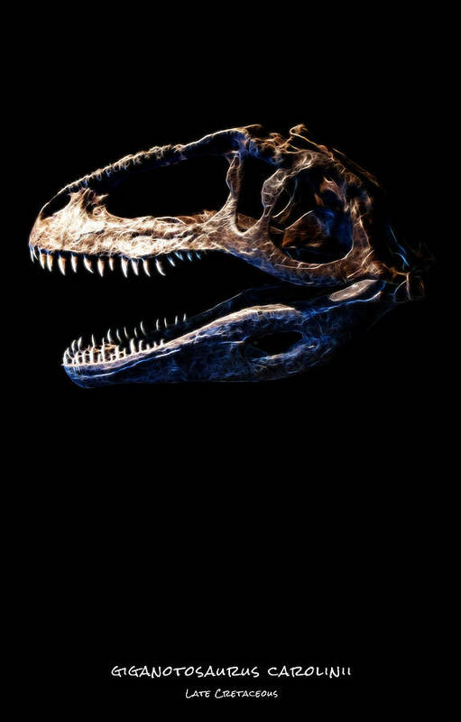Giganotosaurus Carolinii Skull Art Print featuring the photograph Giganotosaurus Skull 2 by Weston Westmoreland