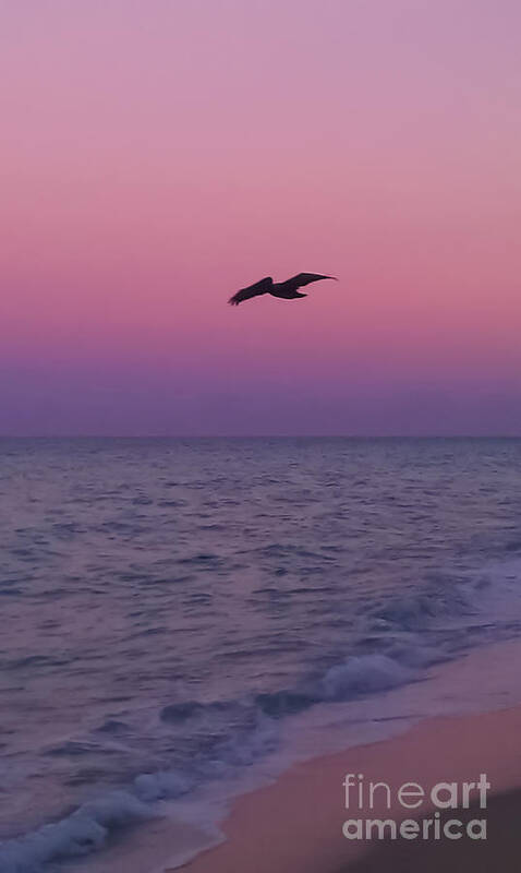 Pink Art Print featuring the photograph Pink Beach Sunset by Charlie Cliques