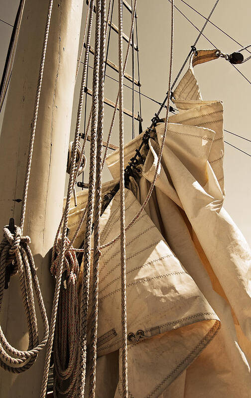 Reefing Art Print featuring the photograph Reefing the Mainsail In Sepia by Jani Freimann