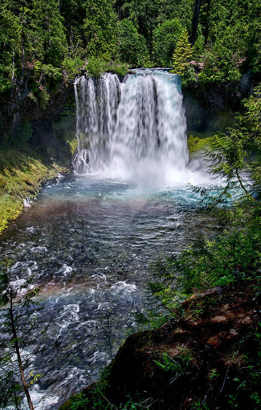 Water Art Print featuring the photograph Sahalie Falls by Cat Connor