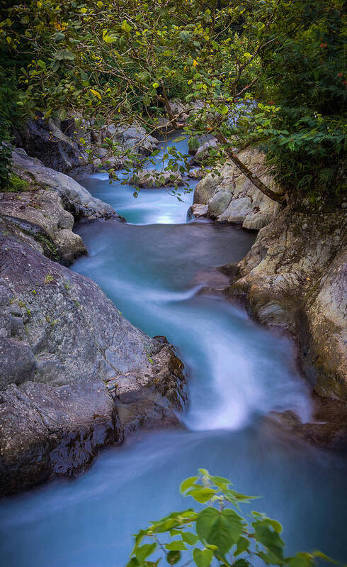 Travel Art Print featuring the photograph Stream - Bali by Matthew Onheiber