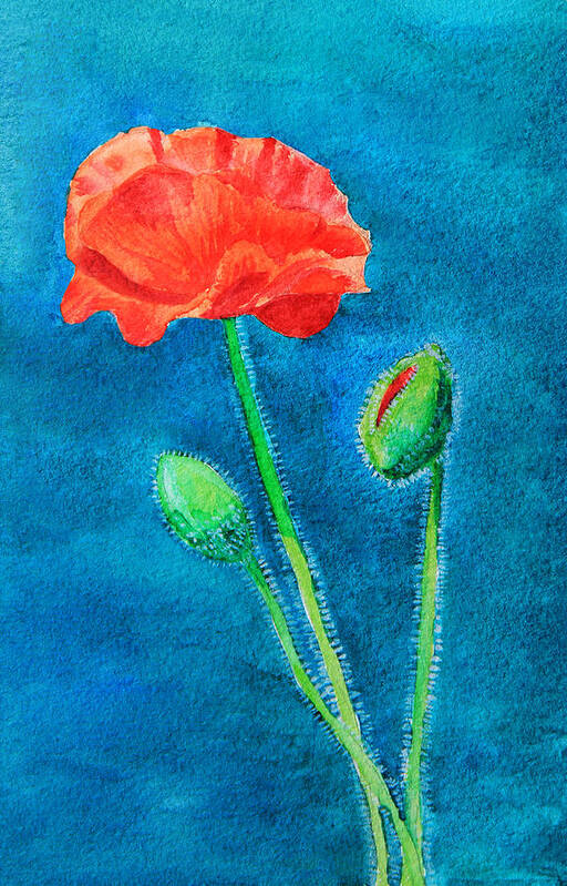Flower Art Print featuring the painting Summer Poppy by Masha Batkova