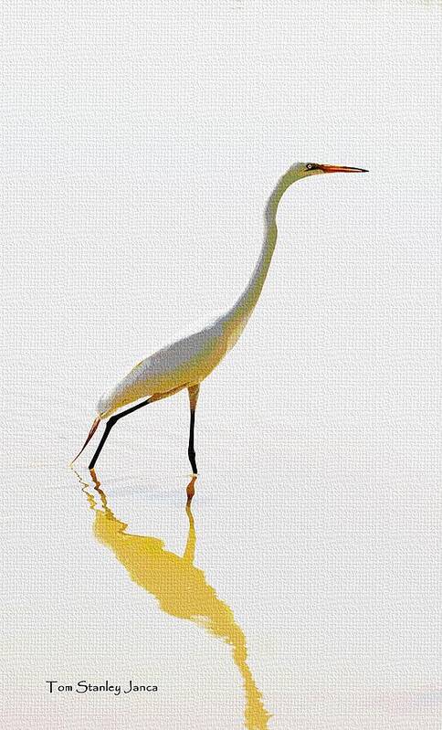 The Greater Egret With Style Art Print featuring the photograph The Greater Egret With Style by Tom Janca