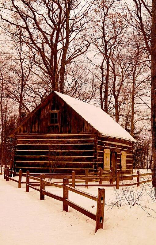 Winter Art Print featuring the photograph The Log Cabin at Old Mission Point by Daniel Thompson