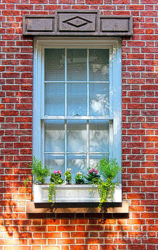 Window Art Print featuring the photograph The Window In The Afternoon by Sebastian Mathews Szewczyk