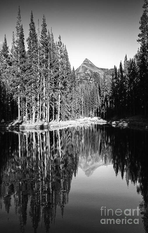 Tranquil Lake Reflections Art Print featuring the photograph Tranquil Lake Reflections Tuolumne Meadows Mountain Pine Trees Yosemite National Park Black And Whit by Jerry Cowart
