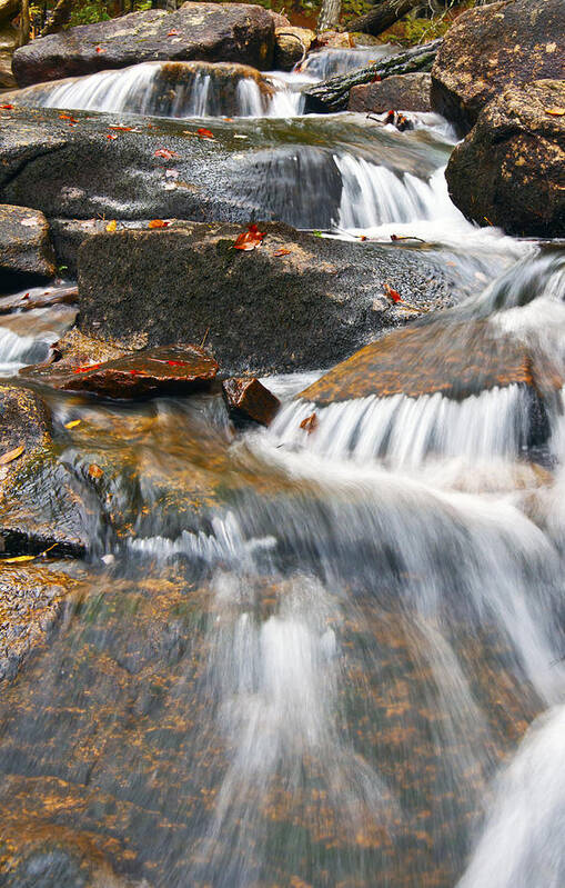 Water Art Print featuring the photograph Water steps by Glenn Gordon