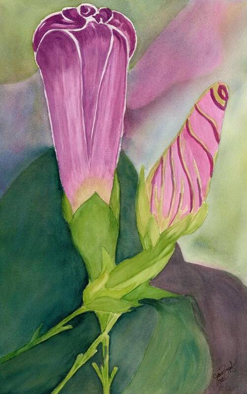 Morning Glory Bud Art Print featuring the painting Bud from a Bud by Joan Zepf