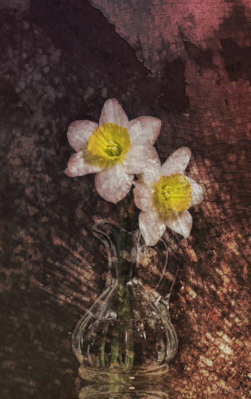 Flower Art Print featuring the digital art Fresh Cut by Peter Chilelli