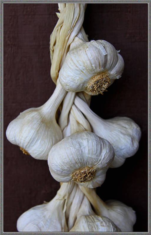 Vegetable Art Print featuring the photograph Garlic by Chet King