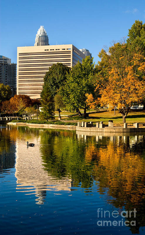 North Carolina Art Print featuring the photograph Marshall Park by Patrick Schneider 