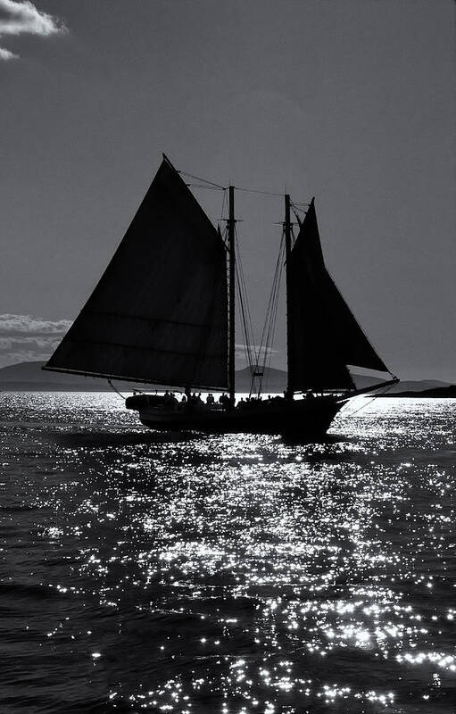 Black And White Art Print featuring the photograph Mercantile by Fred LeBlanc