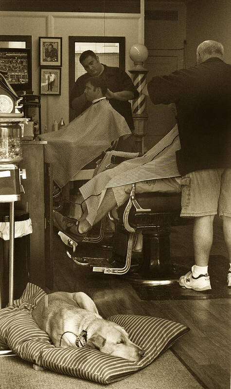 Dog Art Print featuring the photograph Napping at the Barbershop by Steve Gravano