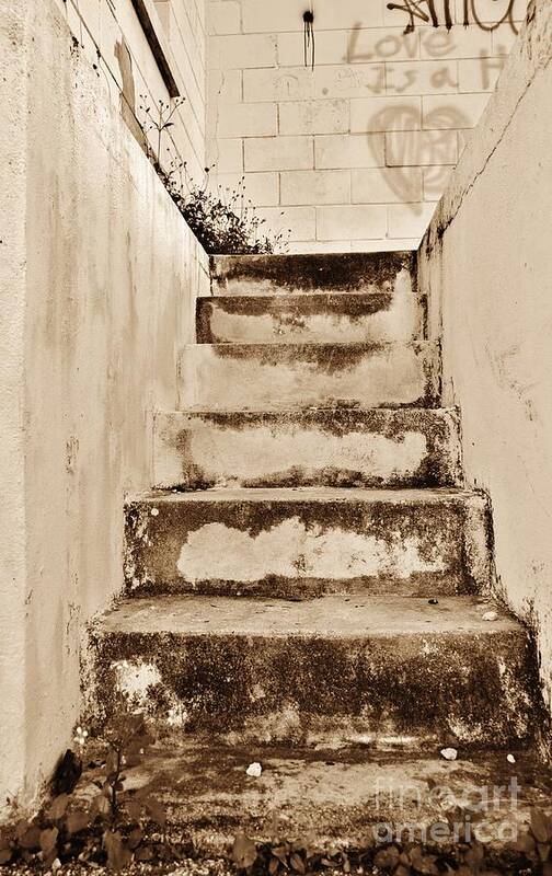 Stair Art Print featuring the photograph Stepping Up To Paradise by Lynda Dawson-Youngclaus