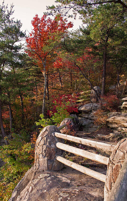 Bluff Art Print featuring the photograph The Bluff by David Troxel