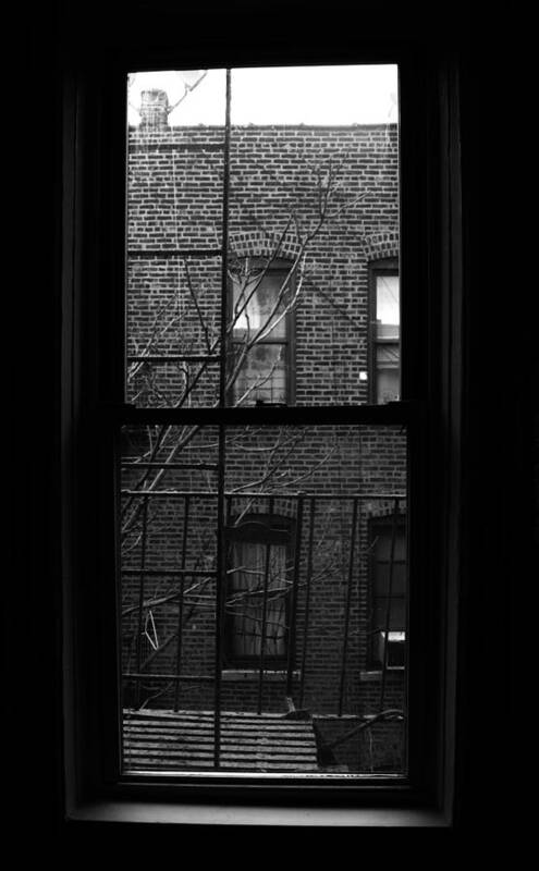 New York Art Print featuring the photograph The View at 155th Street by Mary Capriole