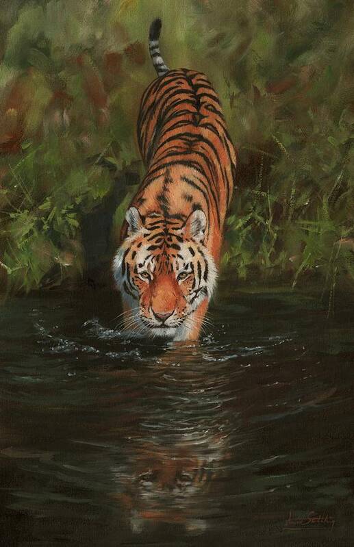 Tiger Art Print featuring the painting Cool 2 by David Stribbling
