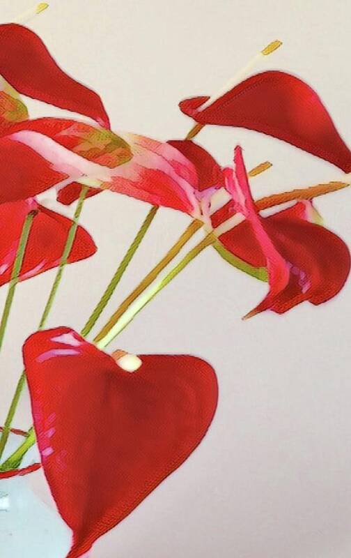#flowersofaloha #flowers #flowerpower Art Print featuring the photograph Anthurium Fragments in Red by Joalene Young