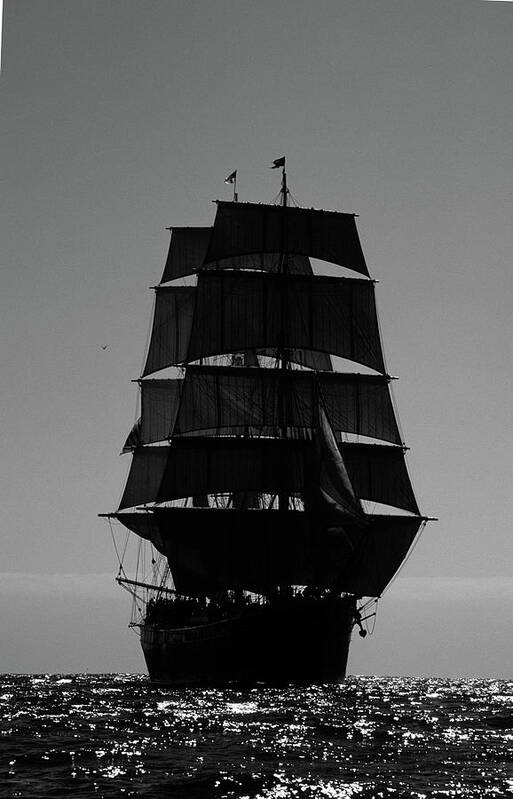 Black And White Art Print featuring the photograph Back lit Tall Ship by David Shuler