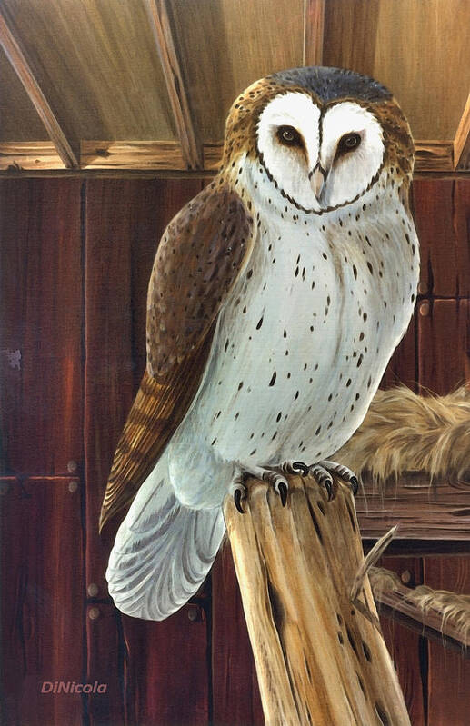 Nature Art Print featuring the painting Barn Owl by Anthony DiNicola