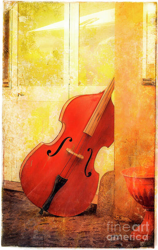 Forum Art Print featuring the photograph Bass Violin by Craig J Satterlee