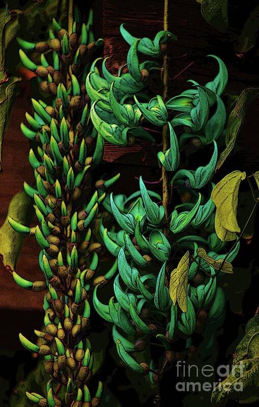 Blue Jade Vine Art Print featuring the photograph Blue Jade Vine by Craig Wood