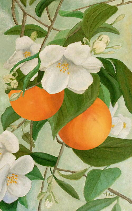 Orange Blossoms Art Print featuring the painting Branch Of Orange Tree In Bloom by Angeles M Pomata