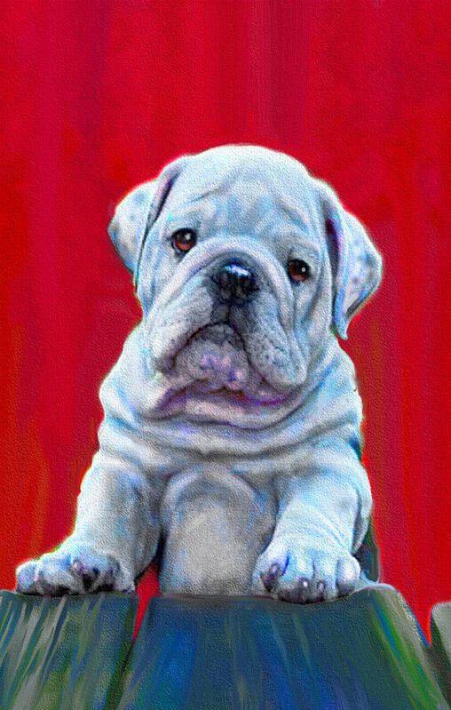 Jane Schnetlage Art Print featuring the digital art Bulldog Puppy On Red by Jane Schnetlage