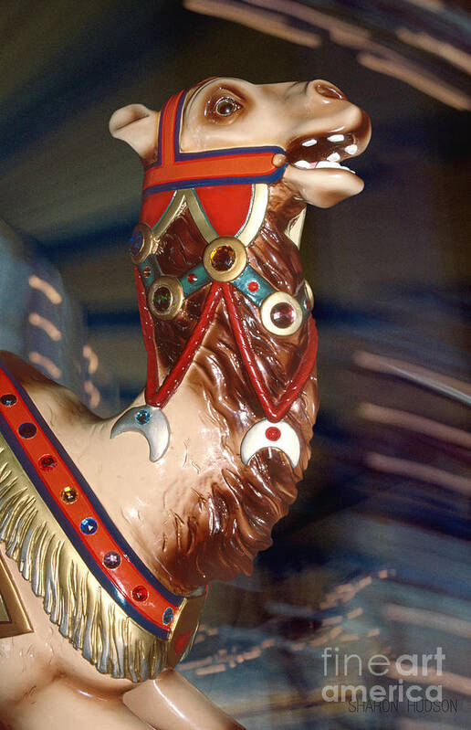 Carousel Art Print featuring the photograph carousel animals - Carousel Camel by Sharon Hudson