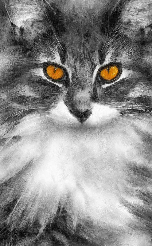 Illustration Art Print featuring the photograph Cats Eyes by Ian Mitchell