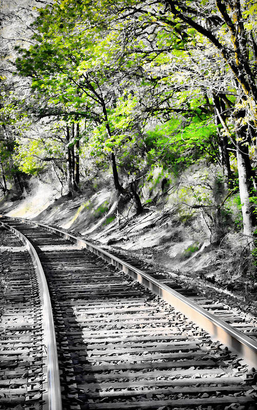 Railroad Tracks Art Print featuring the photograph Country Train Tracks by Athena Mckinzie