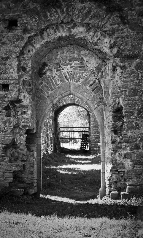 Irish Art Print featuring the photograph Doors at Ballybeg Priory in Buttevant Ireland by Teresa Mucha