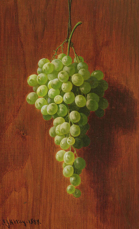 Grape Art Print featuring the painting Grapes  Green by Andrew John Henry Way