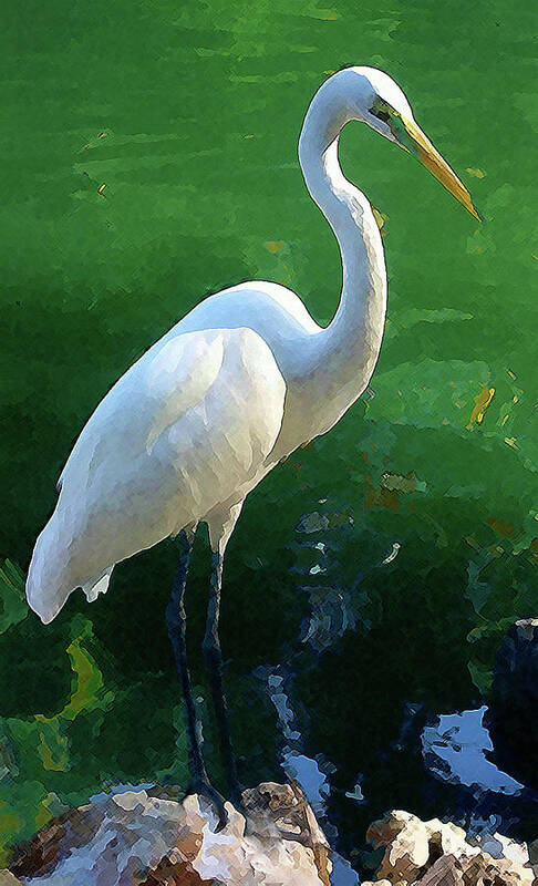 Egret Art Print featuring the digital art Great Egret by Timothy Bulone