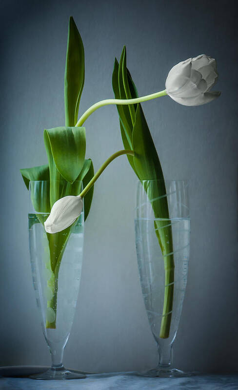 Still Life Art Print featuring the photograph He Said She Said by Maggie Terlecki