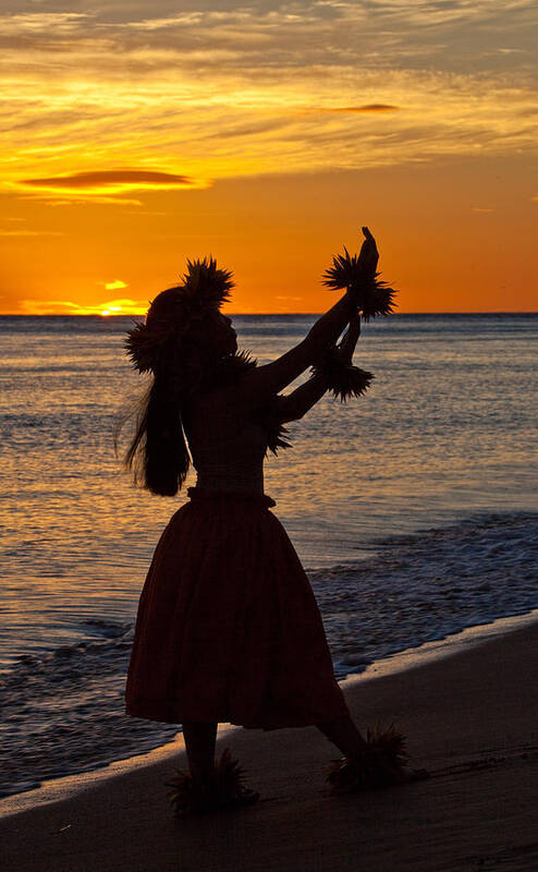  Art Print featuring the photograph Hula dancer by James Roemmling