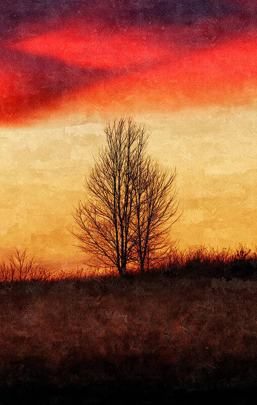 Trees Art Print featuring the photograph In Harmony by Rob Blair