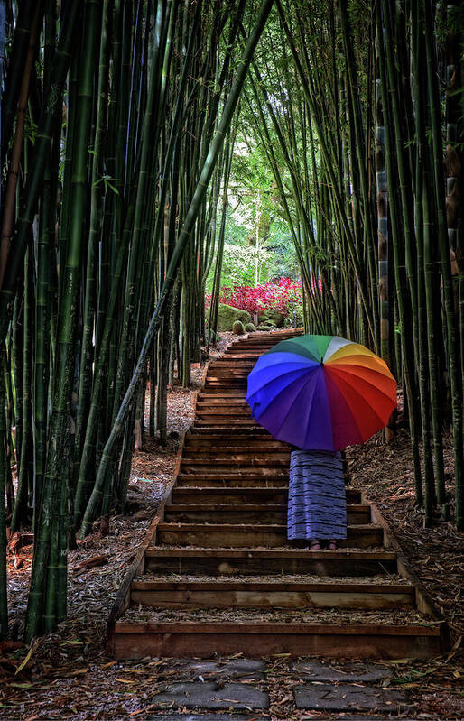 Bamboo Art Print featuring the photograph Oasis by Catherine Reading