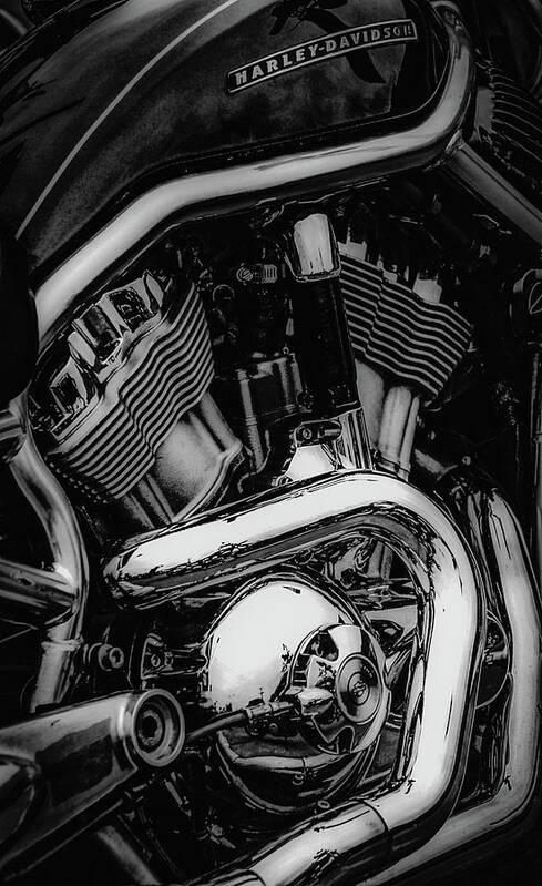 Ready To Fly Art Print featuring the photograph Ready to Fly Black and White 5482 BW_2 by Steven Ward