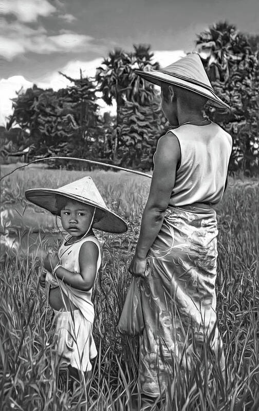 Rice Art Print featuring the photograph Rice Paddy Fishing bw by Steve Harrington