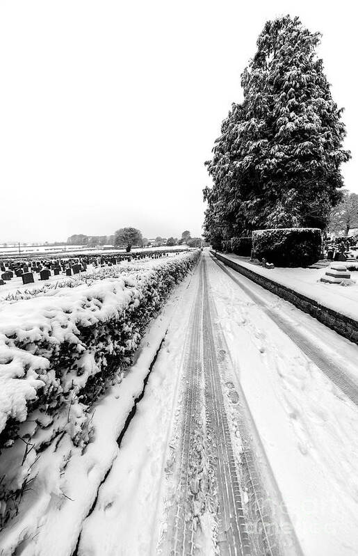 Snowcapped Art Print featuring the photograph Road To Winter by Adrian Evans