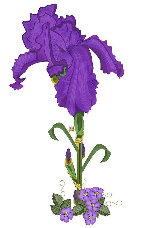 Anne V. Norskog Original Art; Purple Iris; Iris Art Print featuring the painting Royal Iris II by Anne Norskog