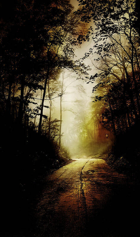 Abandoned Art Print featuring the photograph The Road to Hell Take 2 by Scott Norris
