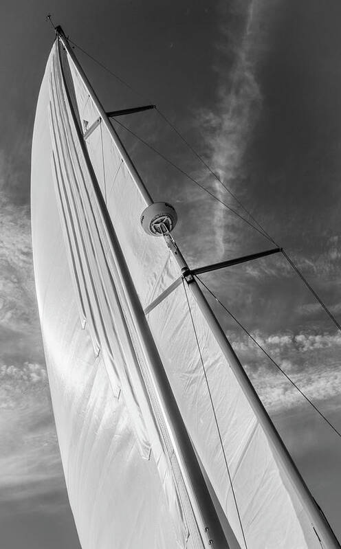 Sail Art Print featuring the photograph The Slot by Bob VonDrachek