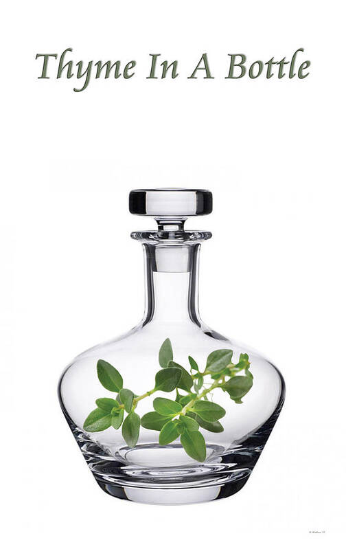 2d Art Print featuring the mixed media Thyme In A Bottle by Brian Wallace