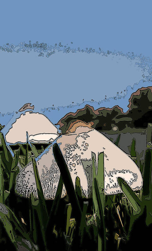 Landscape Art Print featuring the photograph Toad Stools by James Rentz